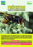 A5 Prevention Frelon asiatique V2
